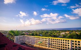 Ackee Tree Sea View Villa